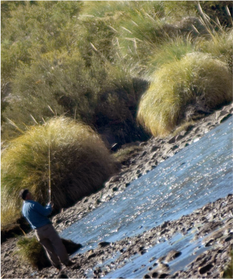 Excursión a Mantasilla 4x4, pesca y safari fotográfico